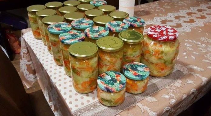 MIJEŠANA SALATA – NA HLADNO.. ZAPIŠITE SEBI OVAJ ODLIČAN RECEPT, TREBAT ĆE VAM USKORO!