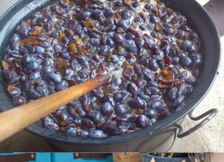 Ovaj recept za Svekrvin pekmez od šljiva je zaista za svaku pohvalu.