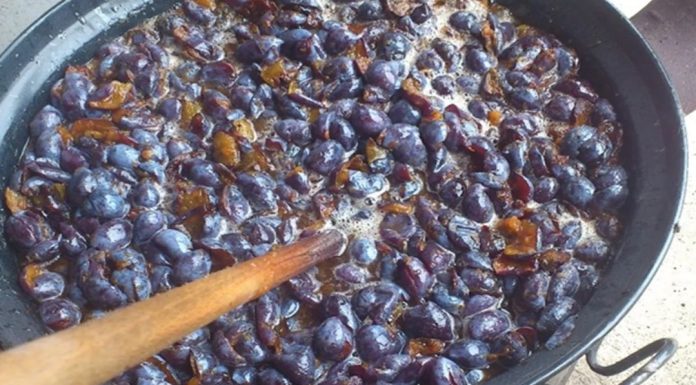 Ovaj recept za Svekrvin pekmez od šljiva je zaista za svaku pohvalu.