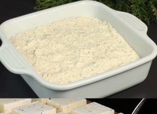 Napravite sir koristeći samo dva jednostavna sastojka, za samo šest minuta vašeg vremena.