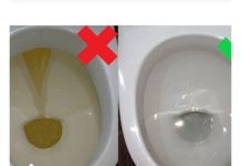 Najlakši način za uklanjanje ružnih mrlja od kamenca s WC školjke.