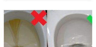 Najlakši način za uklanjanje ružnih mrlja od kamenca s WC školjke.