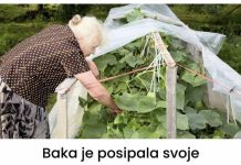 Baka prskala krastavce i nikad nisu uvenuli: ovo je samo mali dodatak vašoj kuhinji!