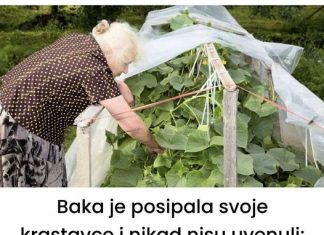 Baka prskala krastavce i nikad nisu uvenuli: ovo je samo mali dodatak vašoj kuhinji!