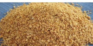 Čiste crijeva kao METLOM. Podržavaju živčani sustav i pomažu u skidanju sala s trbuha!