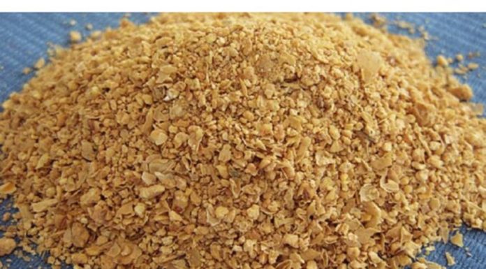 Čiste crijeva kao METLOM. Podržavaju živčani sustav i pomažu u skidanju sala s trbuha!