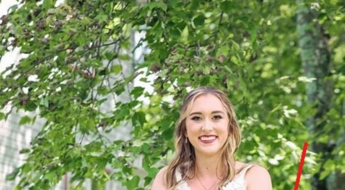 OVA SLIKA JE NAJVEĆI HIT, LJUDI PLAČU OD SMIJEHA: Kad vidite donji dio slike NEĆE VAM BITI DOBRO