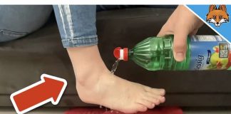 Bacite sirće na noge i GLEDAJTE ŠTA SE DEŠAVA