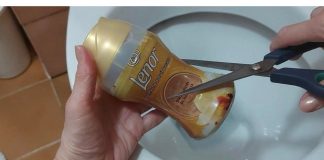 TRIK, sa OVIM, toalet ostaje čist i mirisan do 30 dana: Ne kupujem ništa drugo!