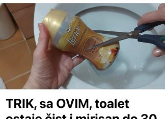 TRIK, sa OVIM, toalet ostaje čist i mirisan do 30 dana: Ne kupujem ništa drugo!