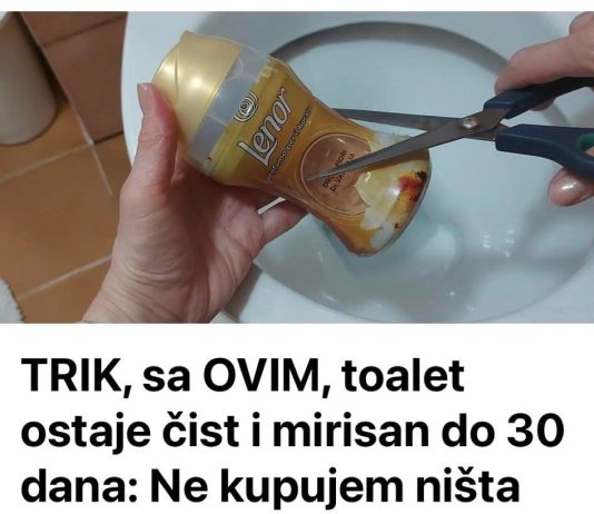 TRIK, sa OVIM, toalet ostaje čist i mirisan do 30 dana: Ne kupujem ništa drugo!