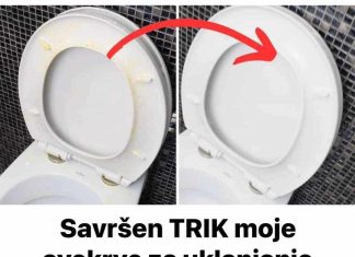 Savršen TRIK moje svekrve za uklanjanje ŽUTE mrlje sa WC daske: Kao nov je!