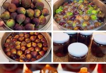 UKUSNE POSLASTICE OD SMOKVA…POTREBNA SU SAMO 3 JEDNOSTAVNA SASTOJKA