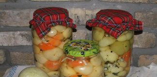 BARENE PARADAJZ-PAPRIKE ZA ZIMNICU