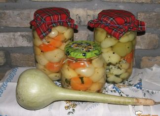 BARENE PARADAJZ-PAPRIKE ZA ZIMNICU