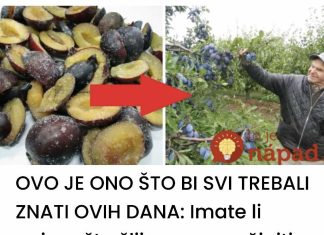 Imate li pojma šta šljive mogu učiniti kada ih stavite u zamrzivač na samo 12 sati?