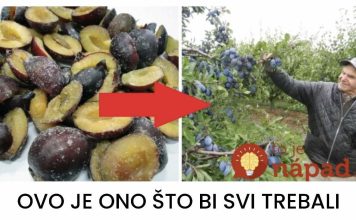 Imate li pojma šta šljive mogu učiniti kada ih stavite u zamrzivač na samo 12 sati?