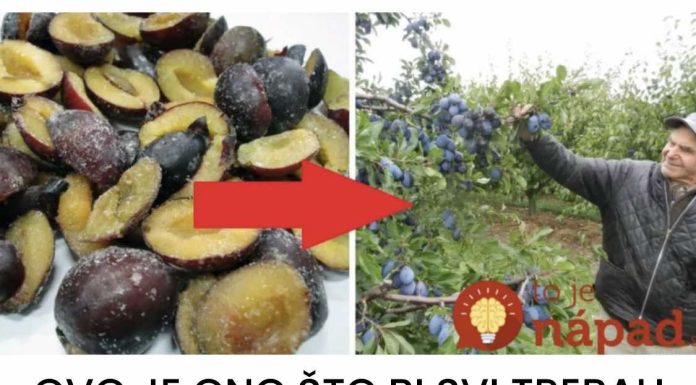 Imate li pojma šta šljive mogu učiniti kada ih stavite u zamrzivač na samo 12 sati?