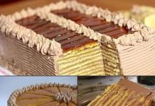 NEODOLJIVA DOBOŠ TORTA