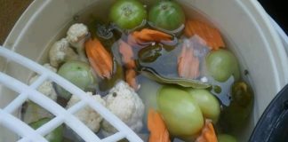 “2 ZA SVE: UKUSAN RECEPT ZA PRAVU ZIMNICU… UŽIVAJTE…