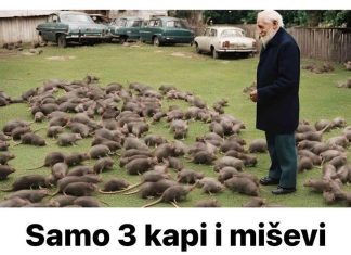 Sa samo tri kapi možete zauvijek eliminirati miševe i štakore!