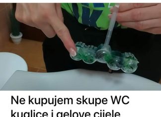 Ne Kupujem Skupe WC Kuglice I Gelove Cijele G0dine