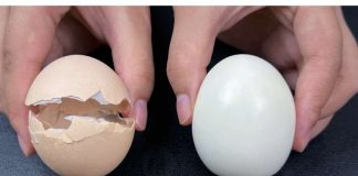 LJUSKA od jajeta se uklanja u jednom naletu: Moram podijeliti ovaj stari trik!