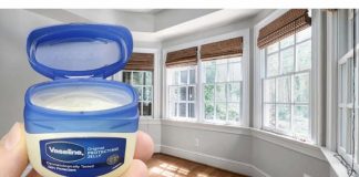 Nanesite vazelin na prozore! ČAK I NAJBOGATIJI TO RADE!