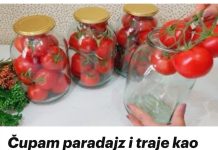 Čupam paradajz i traje kao SVJEŽ do 2 godine: Bez vode, soli ili sirćeta – malo ljudi poznaje ovu metodu!