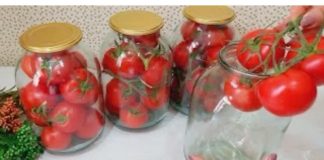 Čupam paradajz i traje kao SVJEŽ do 2 godine: Bez vode, soli ili sirćeta – malo ljudi poznaje ovu metodu!
