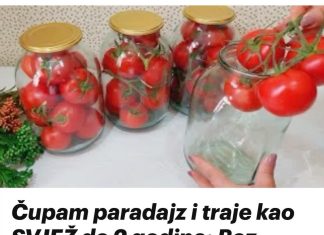 Čupam paradajz i traje kao SVJEŽ do 2 godine: Bez vode, soli ili sirćeta – malo ljudi poznaje ovu metodu!