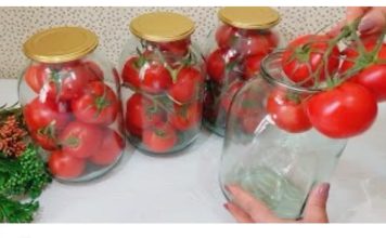 Čupam paradajz i traje kao SVJEŽ do 2 godine: Bez vode, soli ili sirćeta – malo ljudi poznaje ovu metodu!