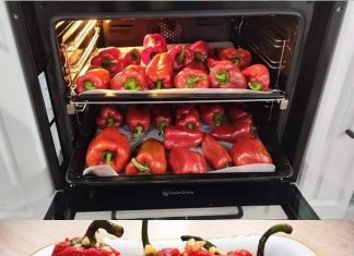 MARINIRANA PAPRIKA U TEGLAMA: Napravite ih na tradicionalni makedonski način.