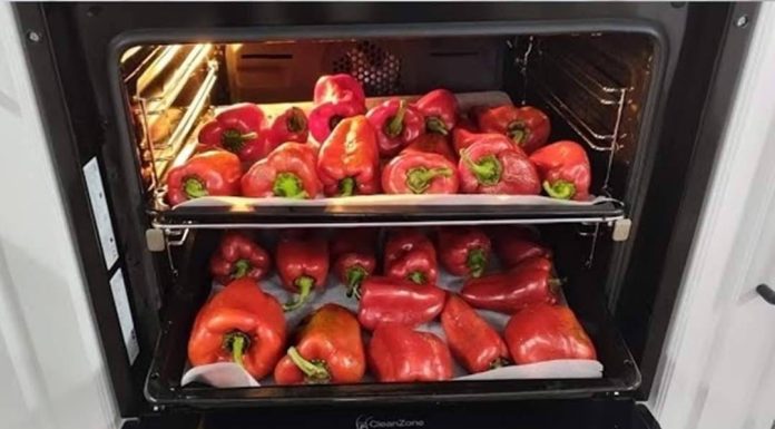 MARINIRANA PAPRIKA U TEGLAMA: Napravite ih na tradicionalni makedonski način.