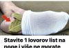 Jeste li znali da jednostavnim stavljanjem jednog lovorovog lista na stopala možete uštedjeti na troškovima ljekarne?