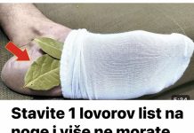 Jeste li znali da jednostavnim stavljanjem jednog lovorovog lista na stopala možete uštedjeti na troškovima ljekarne?