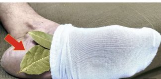 Jeste li znali da jednostavnim stavljanjem jednog lovorovog lista na stopala možete uštedjeti na troškovima ljekarne?