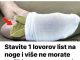 Jeste li znali da jednostavnim stavljanjem jednog lovorovog lista na stopala možete uštedjeti na troškovima ljekarne?