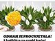 ODMAH JE PROCVJETALA! 1 kašičica za svaki kućni cvijet i bujno cvjetanje je zagarantovano!