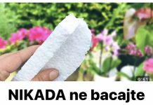 Nikada ne bacajte ostatke stiropora! Njegova vrijednost je jednaka težini zlata!