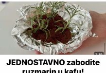 JEDNOSTAVNO zabodite ruzmarin u kafu! EFEKAT je zapanjujuć!