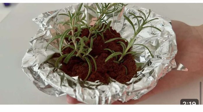 JEDNOSTAVNO zabodite ruzmarin u kafu! EFEKAT je zapanjujuć!