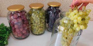 RECEPT ZA KOJIM SU SVI POLUDELI: Kako sačuvati grožđe u tegli da ne istruli, a ukus ostane nepromenjen! (VIDEO)