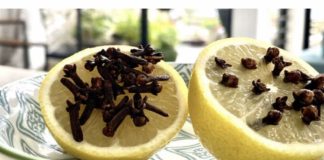 Narezala je limun, u njega ubacila klinčić i stavila ga u sobu preko noći; SLJEDEĆE JUTRO JOJ JE DONIJELO PREDIVNO IZNENAĐENJE!