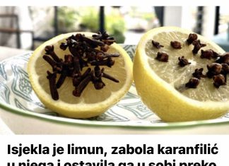 Narezala je limun, u njega ubacila klinčić i stavila ga u sobu preko noći; SLJEDEĆE JUTRO JOJ JE DONIJELO PREDIVNO IZNENAĐENJE!