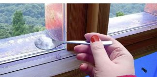 Sipajte ga oko prozora i ispred vrata i nećete više vidjeti mrave, paukove ili muhe: NAJJAČA KUĆNA MJEŠAVINA PROTIV ŠTETOČINA!