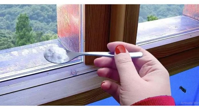 Sipajte ga oko prozora i ispred vrata i nećete više vidjeti mrave, paukove ili muhe: NAJJAČA KUĆNA MJEŠAVINA PROTIV ŠTETOČINA!