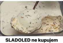 SLADOLED ne kupujem cijelo ljeto: Pravim ga od pavlake i šlaga za samo 3 minute!