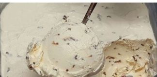 SLADOLED ne kupujem cijelo ljeto: Pravim ga od pavlake i šlaga za samo 3 minute!