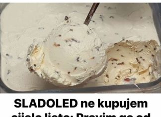 SLADOLED ne kupujem cijelo ljeto: Pravim ga od pavlake i šlaga za samo 3 minute!